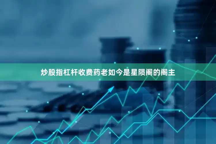 炒股指杠杆收费药老如今是星陨阁的阁主