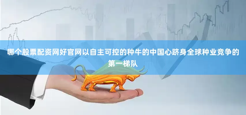 哪个股票配资网好官网以自主可控的种牛的中国心跻身全球种业竞争的第一梯队